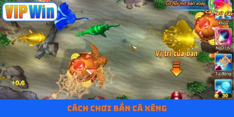 Bắn cá xèng