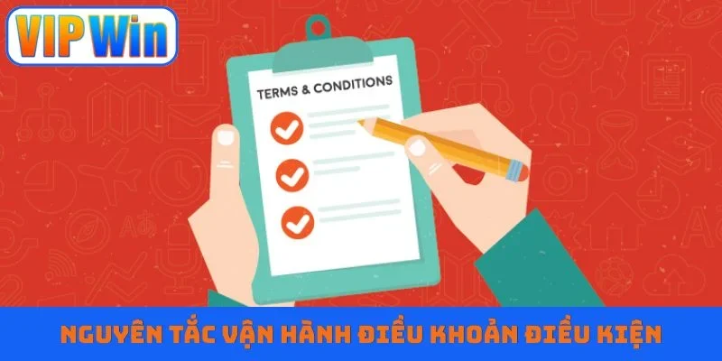 Nguyên tắc vận hành điều khoản điều kiện